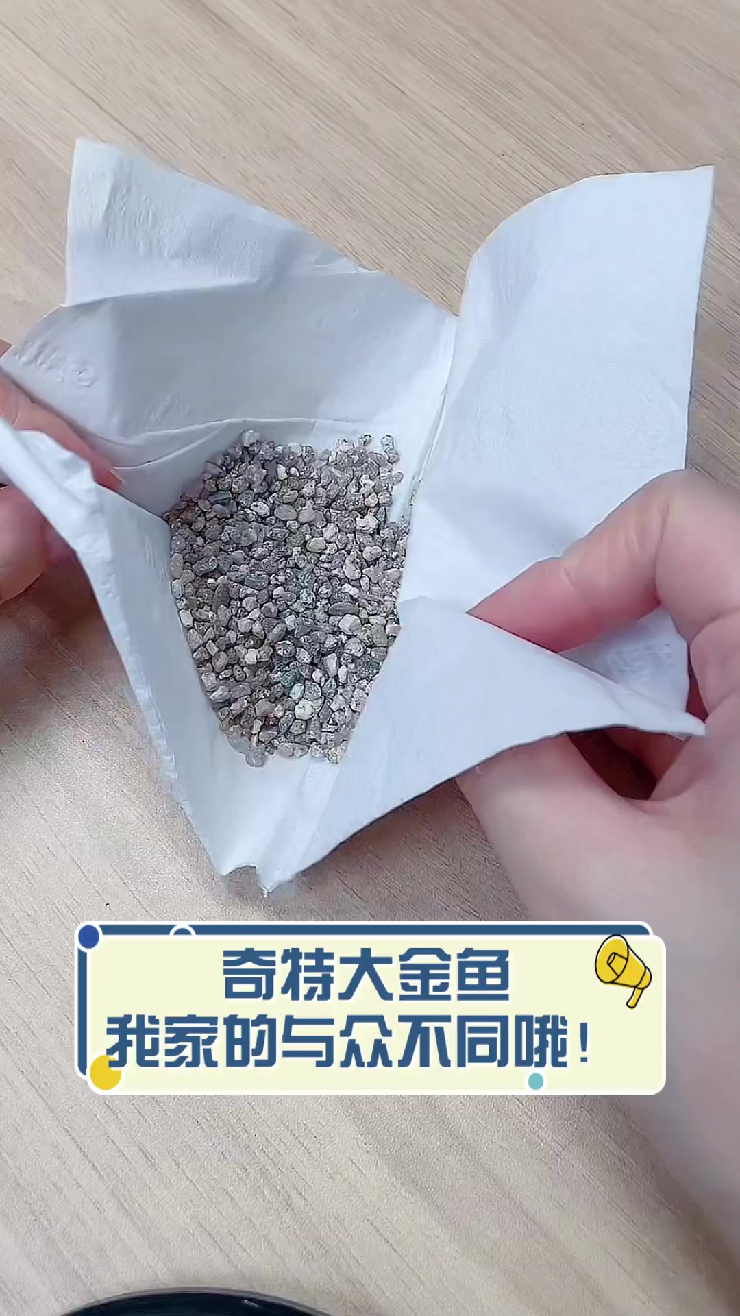 奇特大金鱼,我家的与众不同哦!
