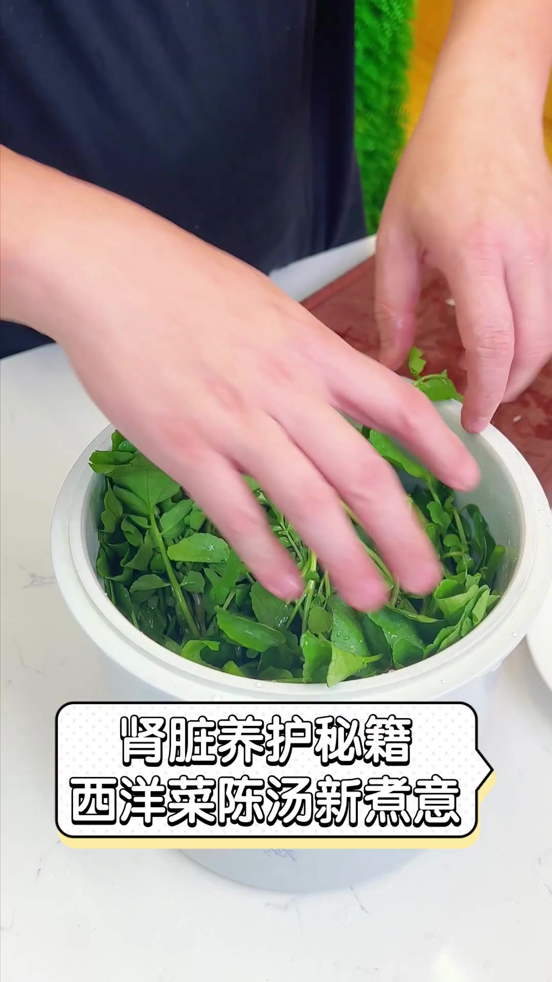 肾脏养护秘籍,西洋菜陈汤新煮意