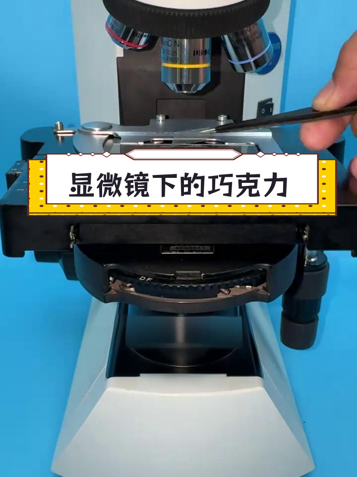 巧克力中的虫子尸体真相