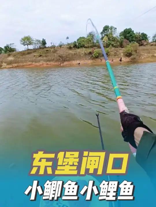 东堡闸.小鲫鱼小鲤鱼