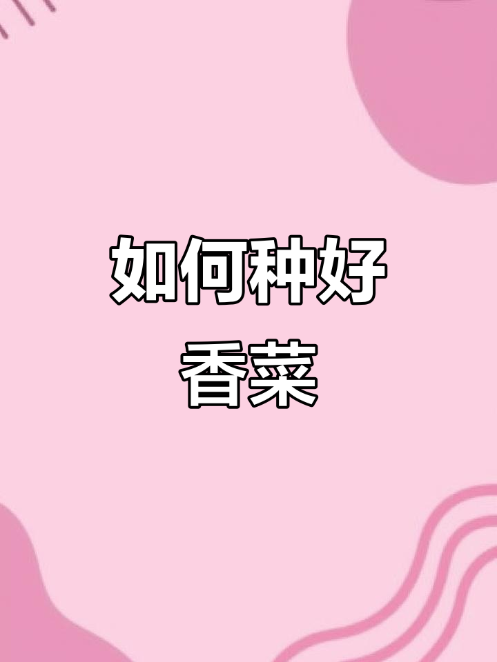 香菜种植技巧：从种子到发芽全攻略