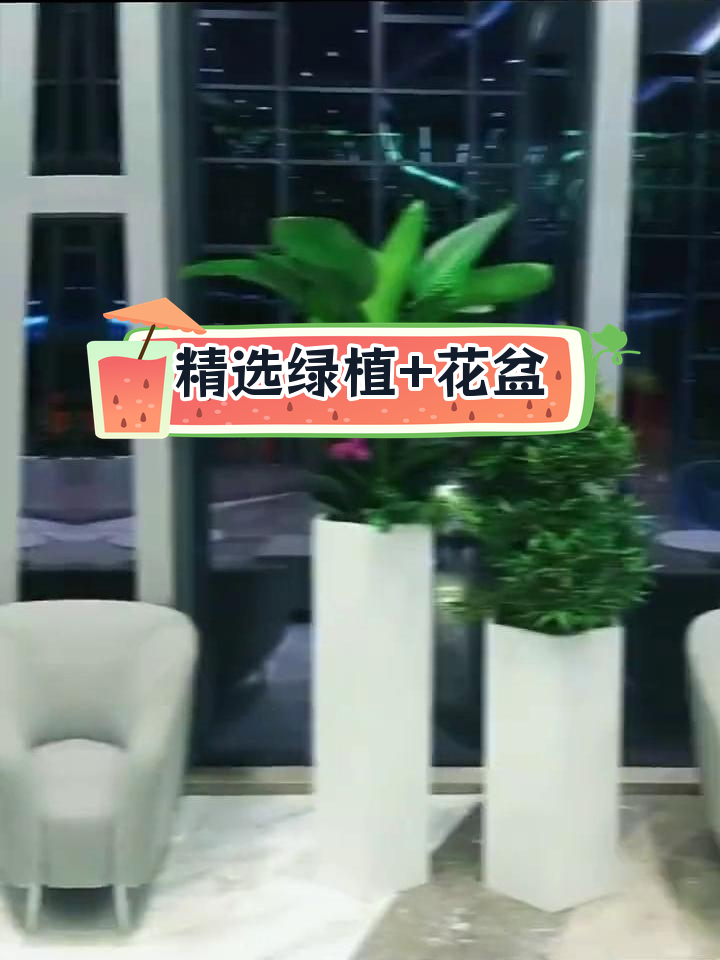30款匠心绿植花盆组合,打造完美室内景观