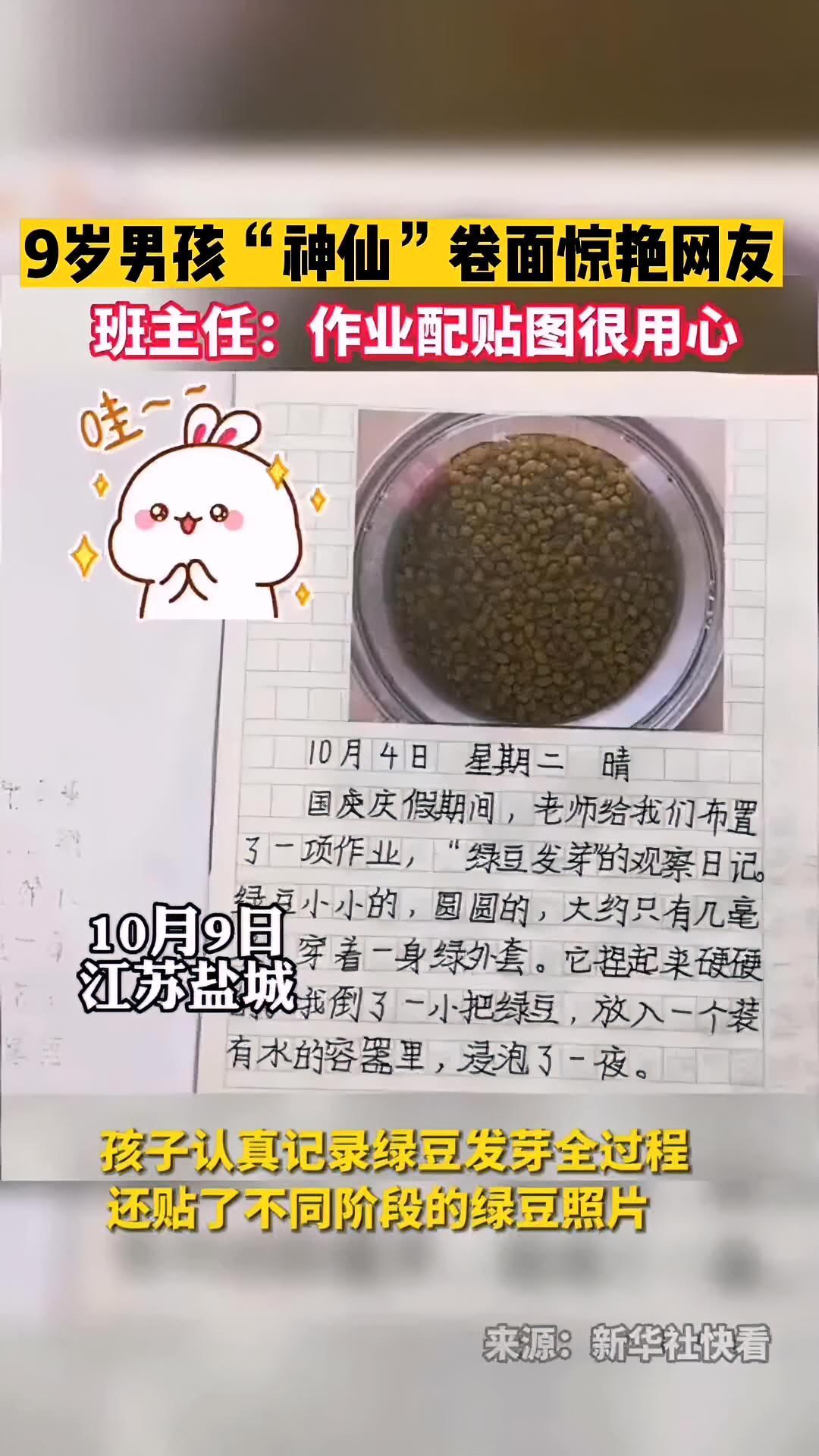 孩子认真记录绿豆发芽全过程,还贴了不同阶段的绿豆照片