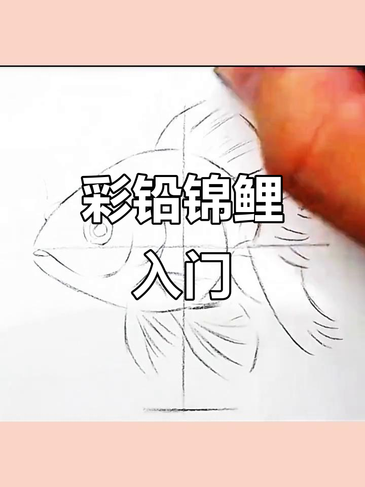 零基础彩铅入门,锦鲤插画教程