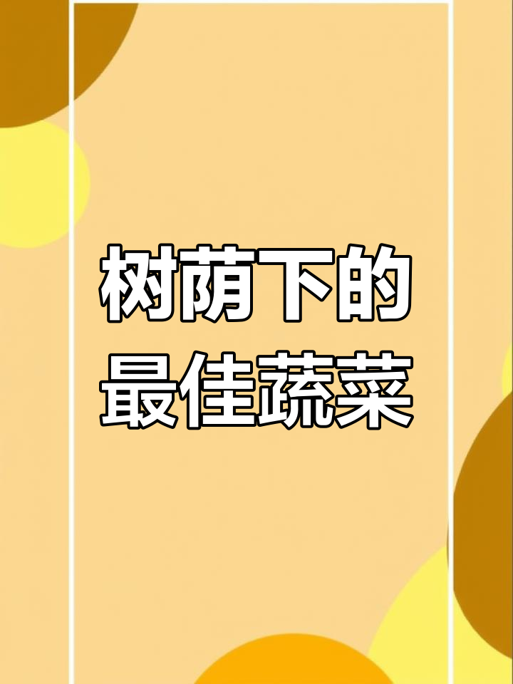 树荫下适合种哪些蔬菜?这些耐阴作物最适合