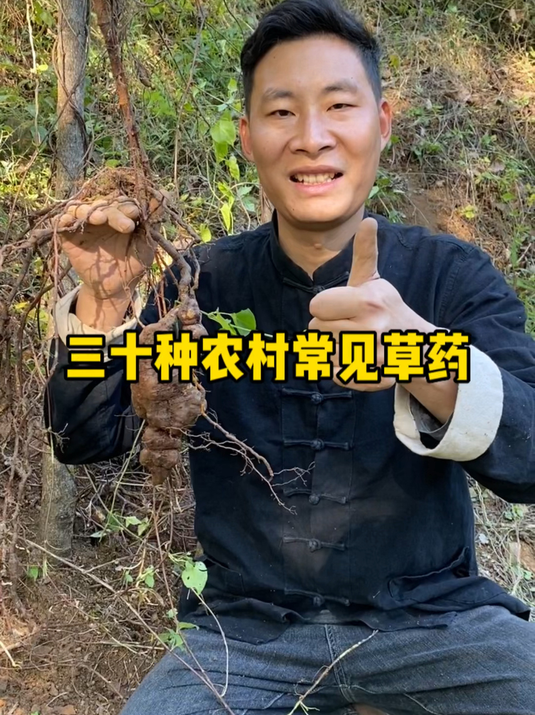 三十种农村常见中草药