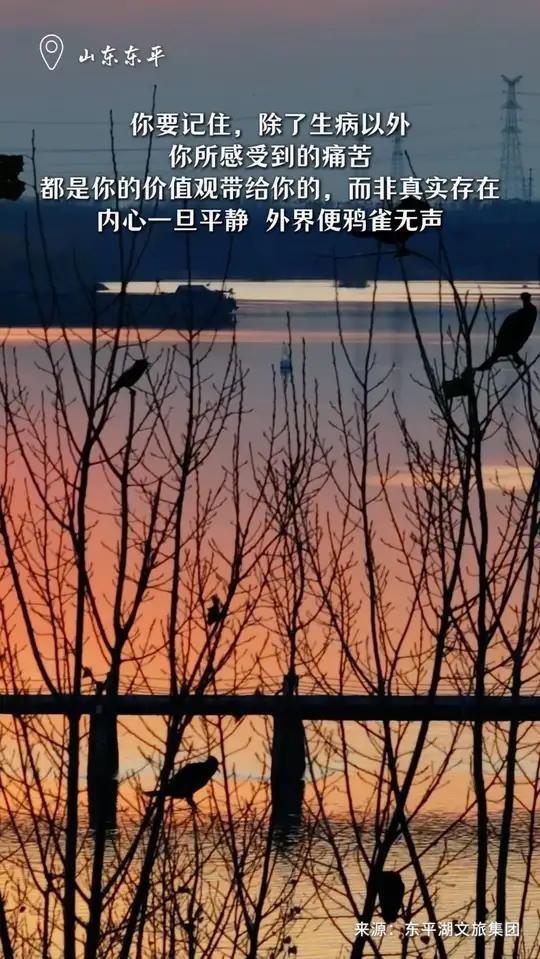 你要记住,除了生病以外,你所感受到的痛苦,都是你的价值观带给你的,而非真实存在。内心一旦平