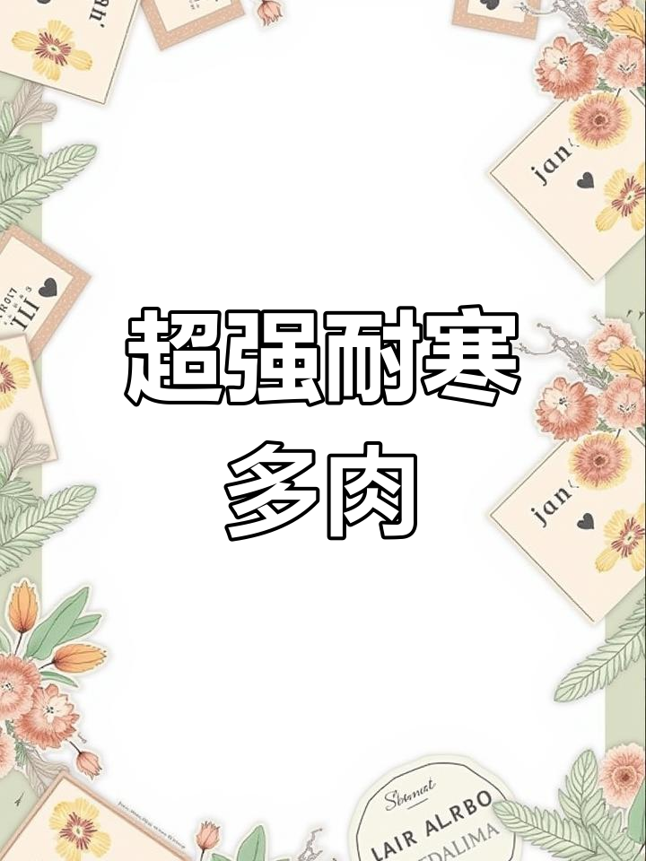 耐寒多肉植物推荐,零下也能存活