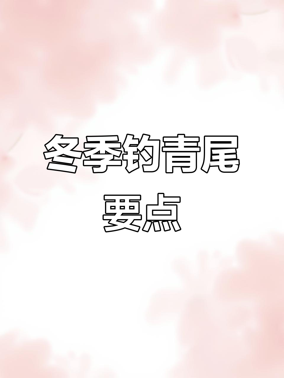 冬季钓青尾鲴技巧:低温、饵料与安静最重要