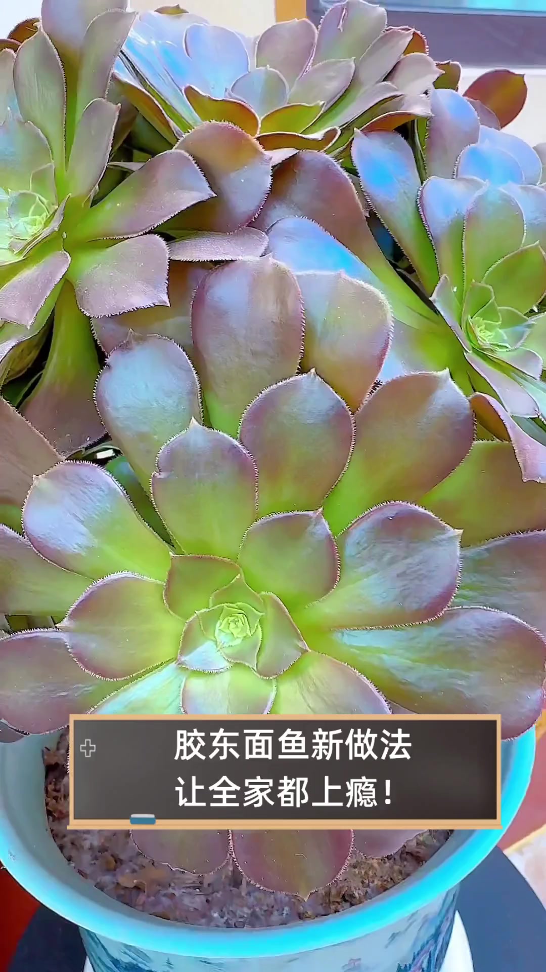 胶东面鱼新做法,让全家都上瘾!