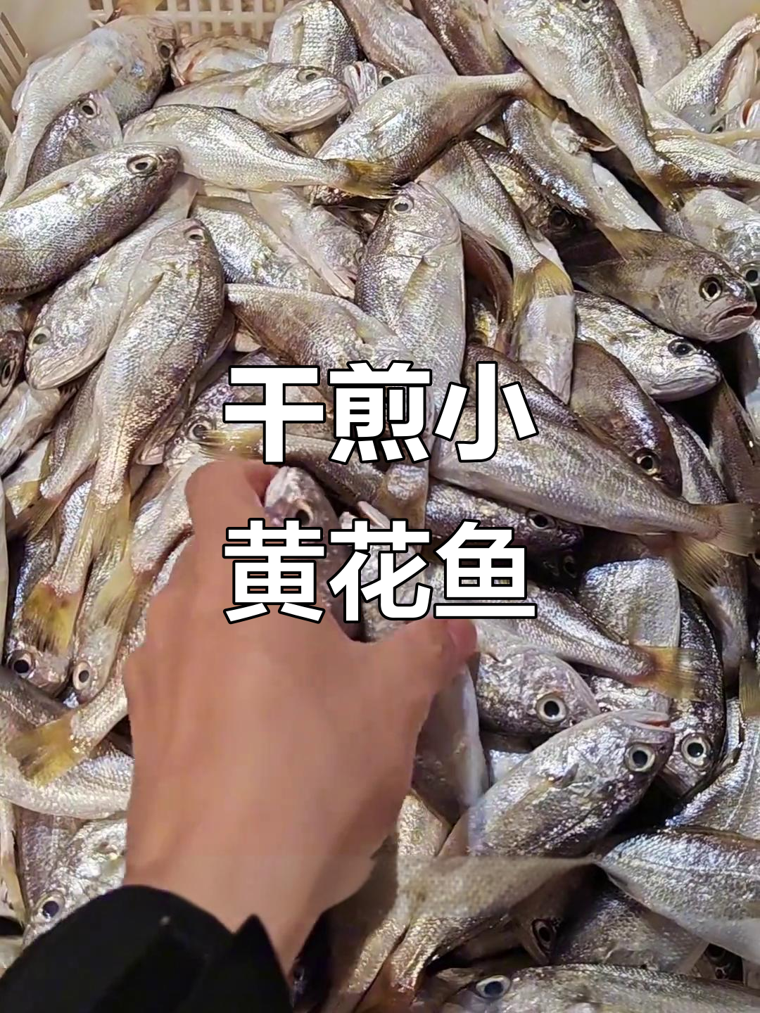 小黄花鱼与石头鱼的干煎砂锅做法,香气扑鼻