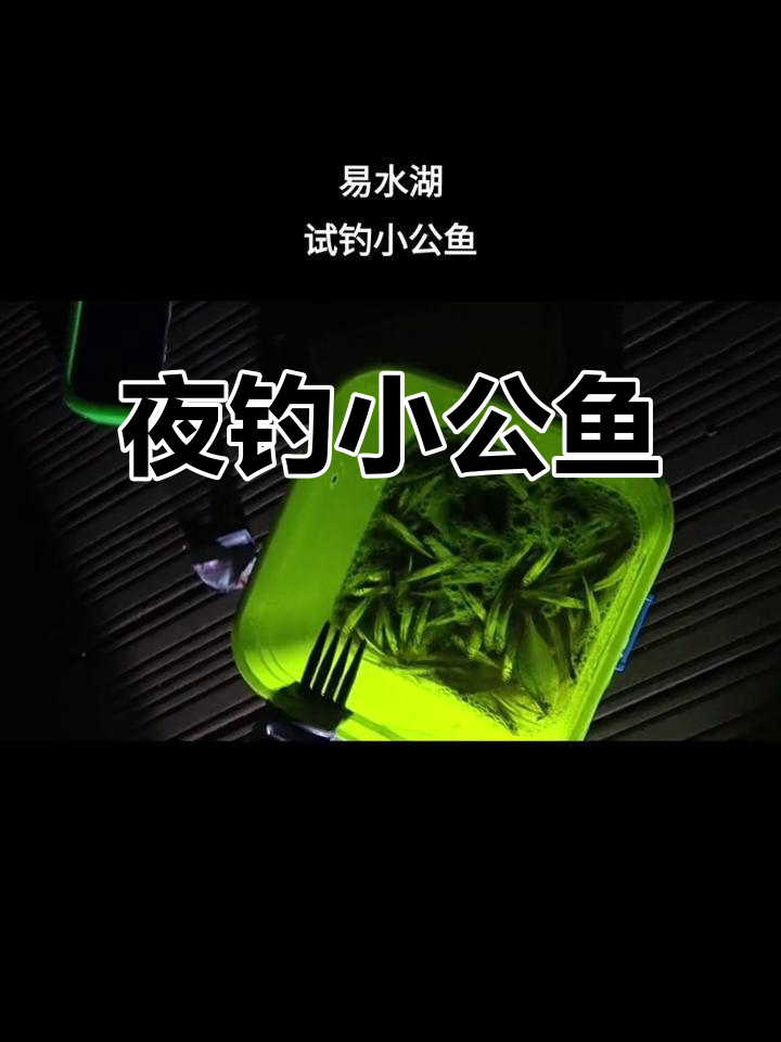 夜钓小公鱼,两小时收获满满!