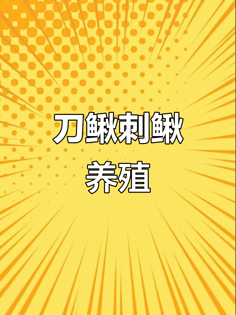 刀鳅刺鳅养殖，南北皆宜，耐低氧，吃料广泛