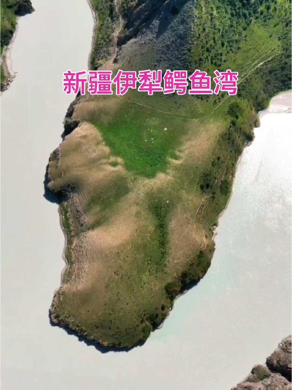 这里是新疆伊犁鳄鱼湾。蜿蜒的阔克苏河在这里拐了一个湾,留下一条大鳄鱼趴在水面。这里地形特别