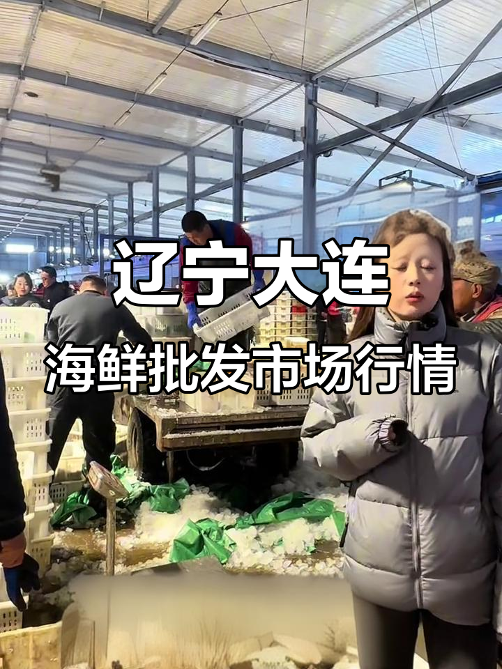 东北最大海鲜市场行情揭秘,新鲜刀鱼、沙丁鱼等热销产品分析