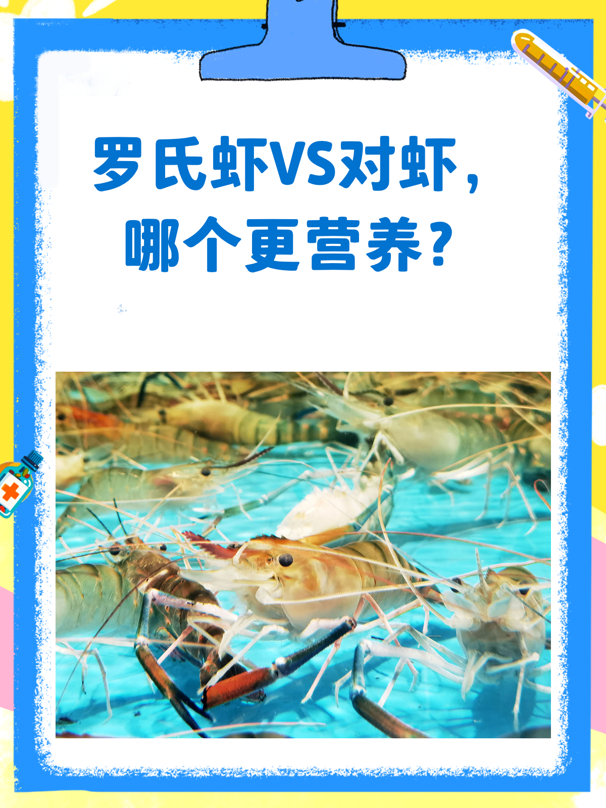 罗氏虾VS对虾,哪个更营养?