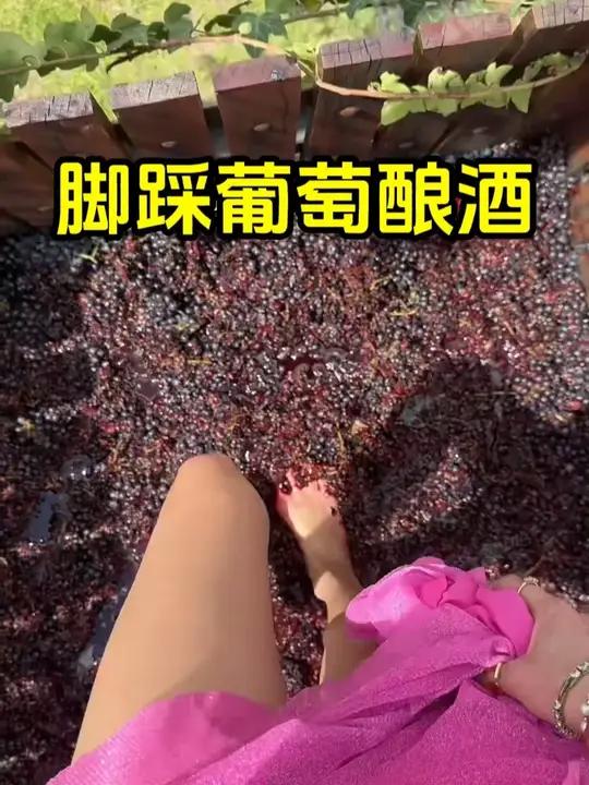 脚踩葡萄酒，一项古老传统的酿造工艺！葡萄酒制造过程趣事有趣 全球看点