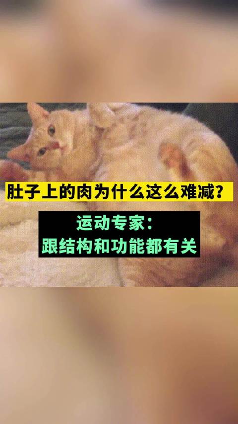 「肚子上的肉为什么这么难减」肚子上的肥肉不仅影响美观,还会增加多种健康风险,挤占内脏的空间