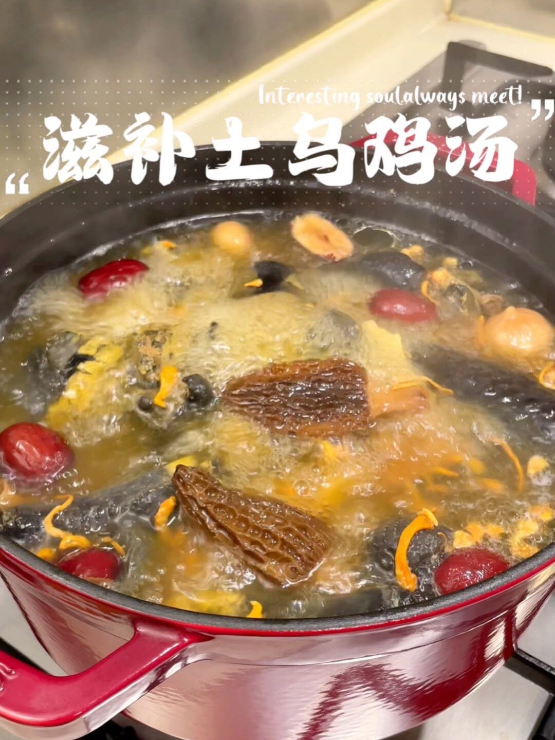 冬天进补正当时来一碗香浓乌鸡汤