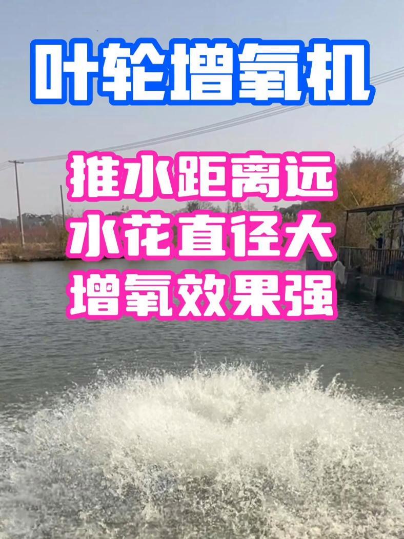 鱼塘增氧少不了叶轮式增氧机,手机开关,变频省电 推水距离远,水花直径大 鱼塘增氧 叶轮增氧