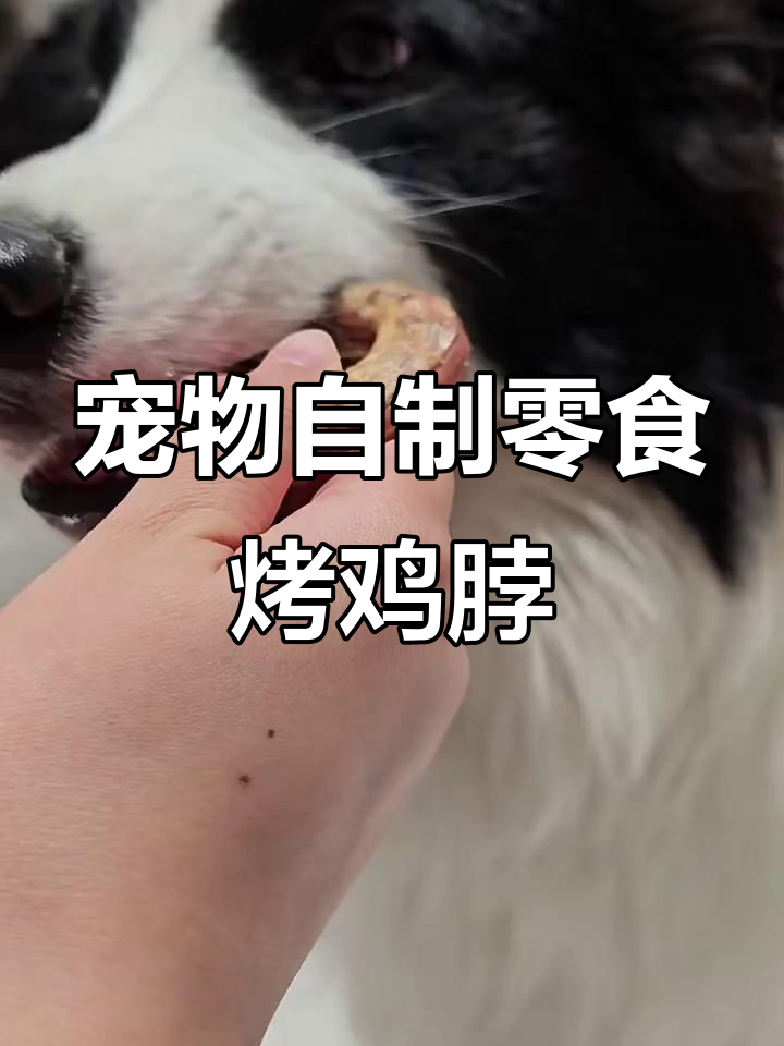 自制风干鸡脖,烤箱版教程来啦!狗狗磨牙解馋必备