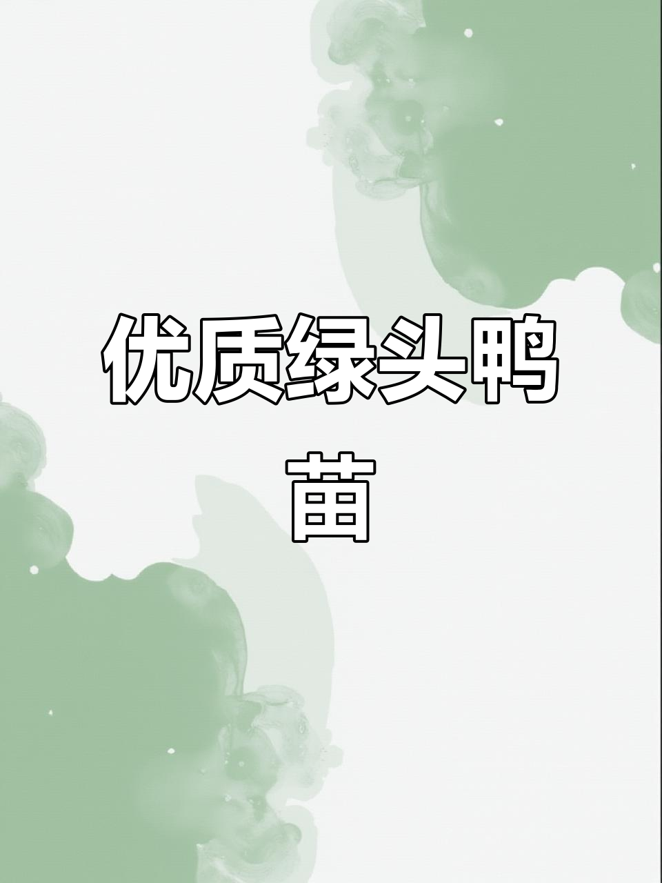 山沟里长大的绿头鸭苗,土疙瘩也能变宝贝