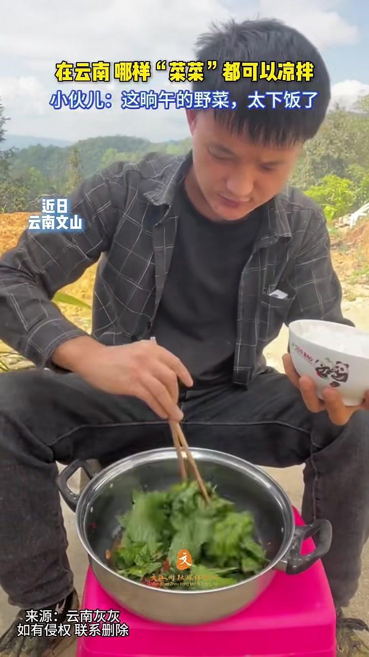 在云南哪样“菜菜”都可以凉拌,小伙儿:这晌午的野菜,太下饭了(来源:云南灰灰)农村生活 农