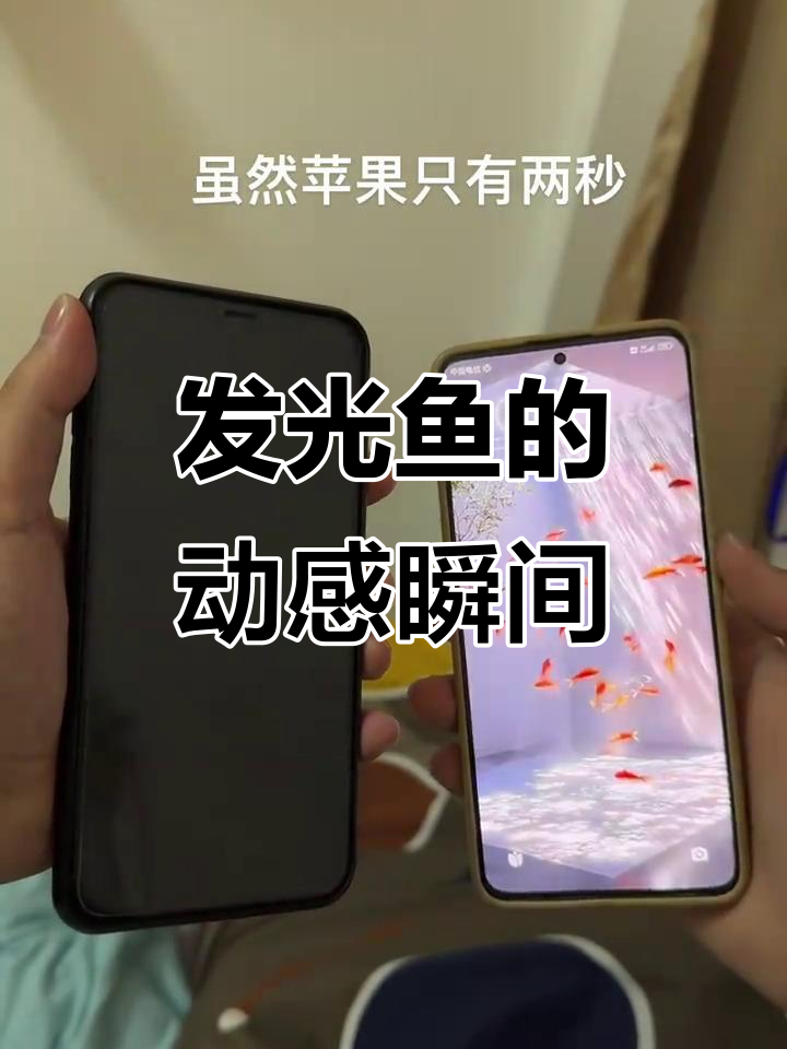 光影下的鱼舞,治愈心灵的动态壁纸