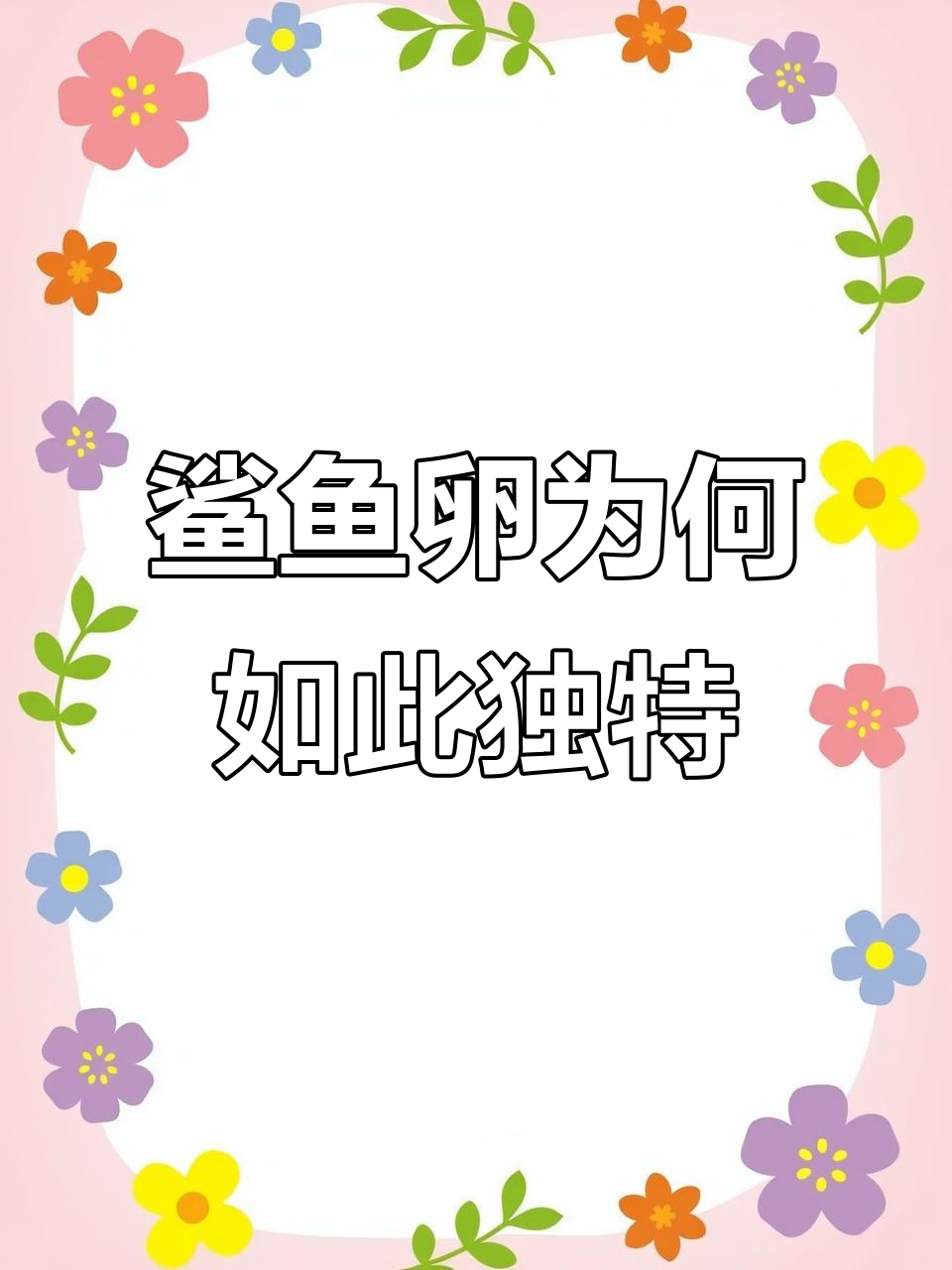 鲨鱼卵的奇特螺旋形态,揭秘三种生产方式