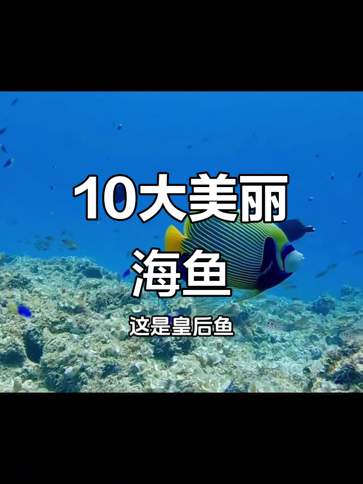 十种色彩斑斓的海洋鱼类，看看你知道几种？