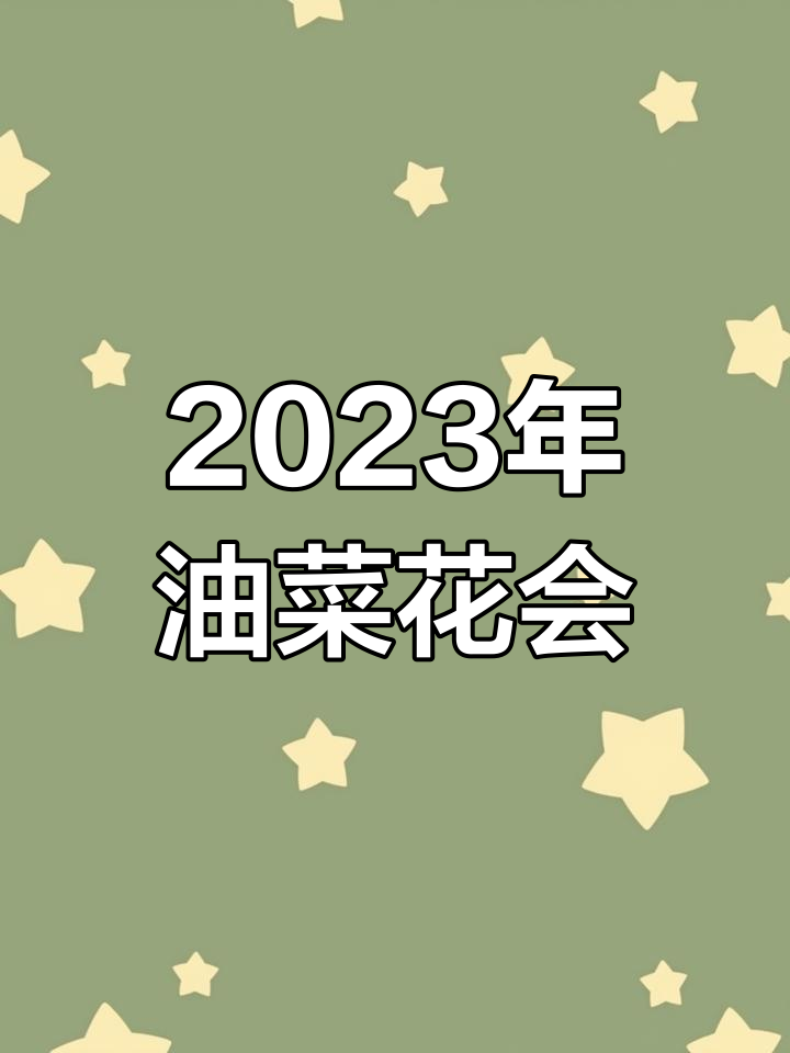 汉中油菜花节主会场揭秘