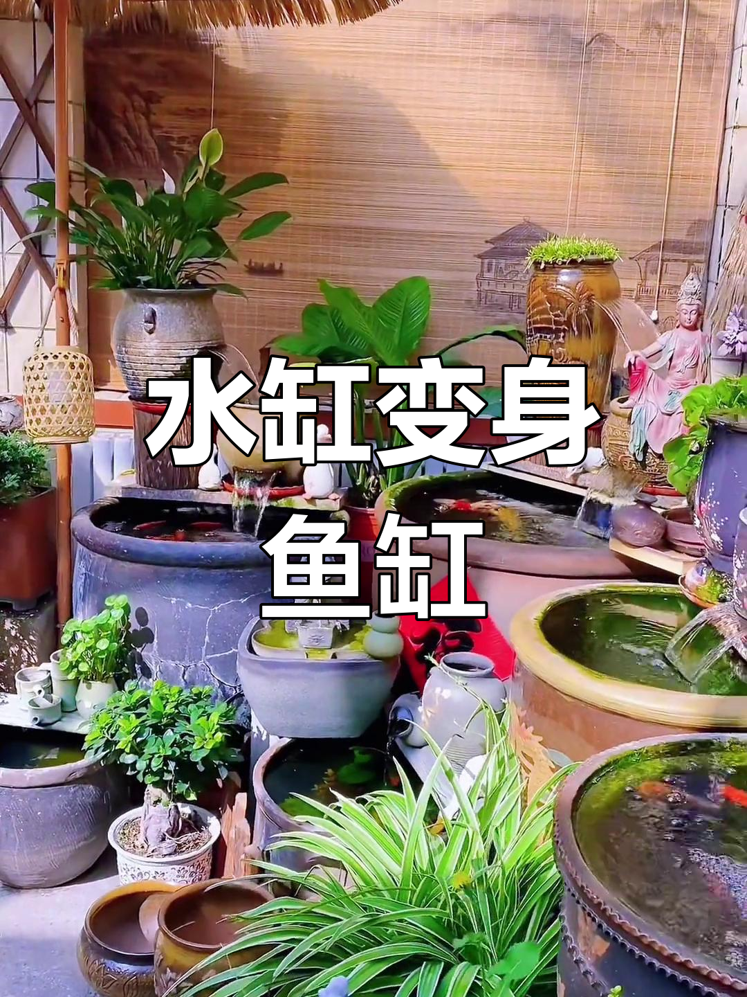家里闲置水缸变鱼缸,简单改造轻松养鱼!