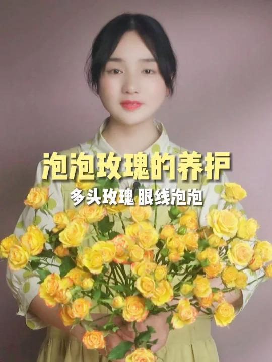 多头玫瑰泡泡,眼线泡泡的养护方法和技巧