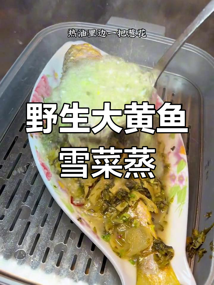 雪菜蒸黄鱼,鲜美至极