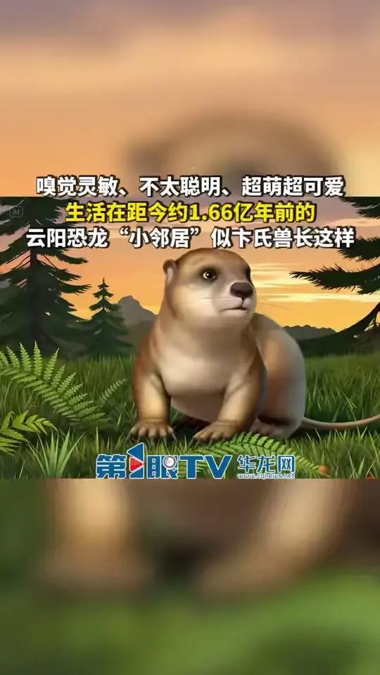 嗅觉灵敏、“低调”生活、不太聪明……日前，云阳恐龙“小邻居”似卞氏兽有最新研究进展。来自1