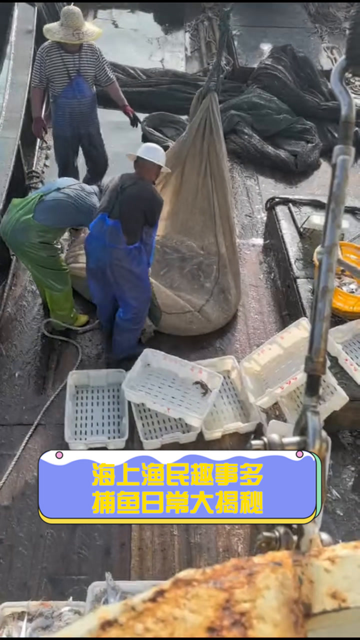 海上渔民趣事多,捕鱼日常大揭秘