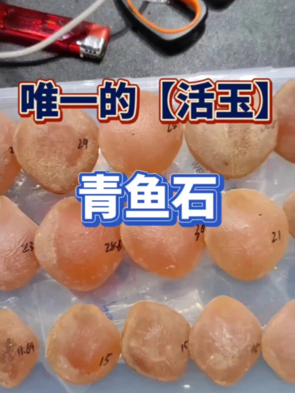 文玩人当宝贝的鱼石