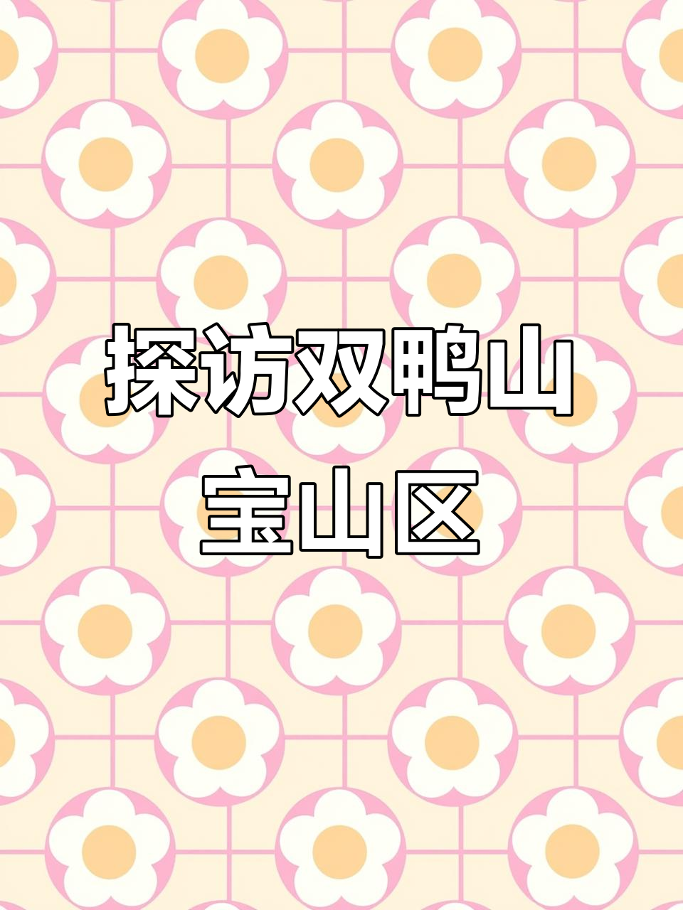 双鸭山市宝山区全景展示