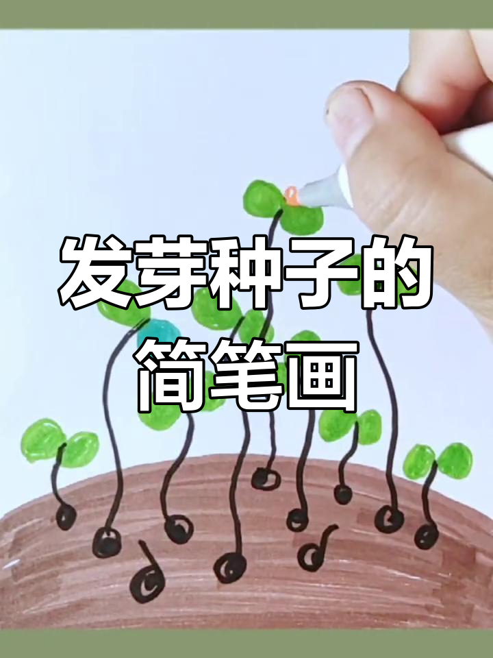 画发芽种子,感受生命的力量