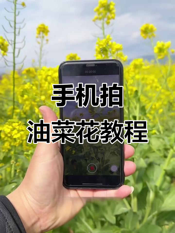 用手机拍油菜花，秒变视觉大片！试试这个拍摄技巧