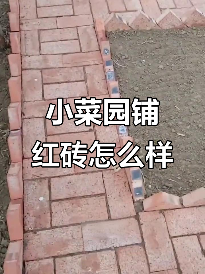 农村小菜园铺红砖,效果如何?