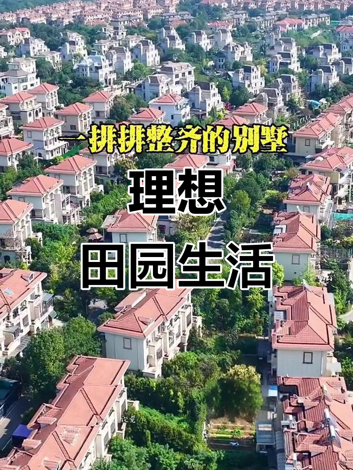 湖北乡村别墅,整齐排列,每家有庭院菜地,生活宁静又舒适