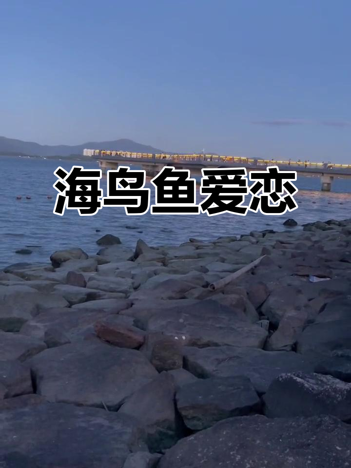 海鸟与鱼的邂逅,日落下的意外之美