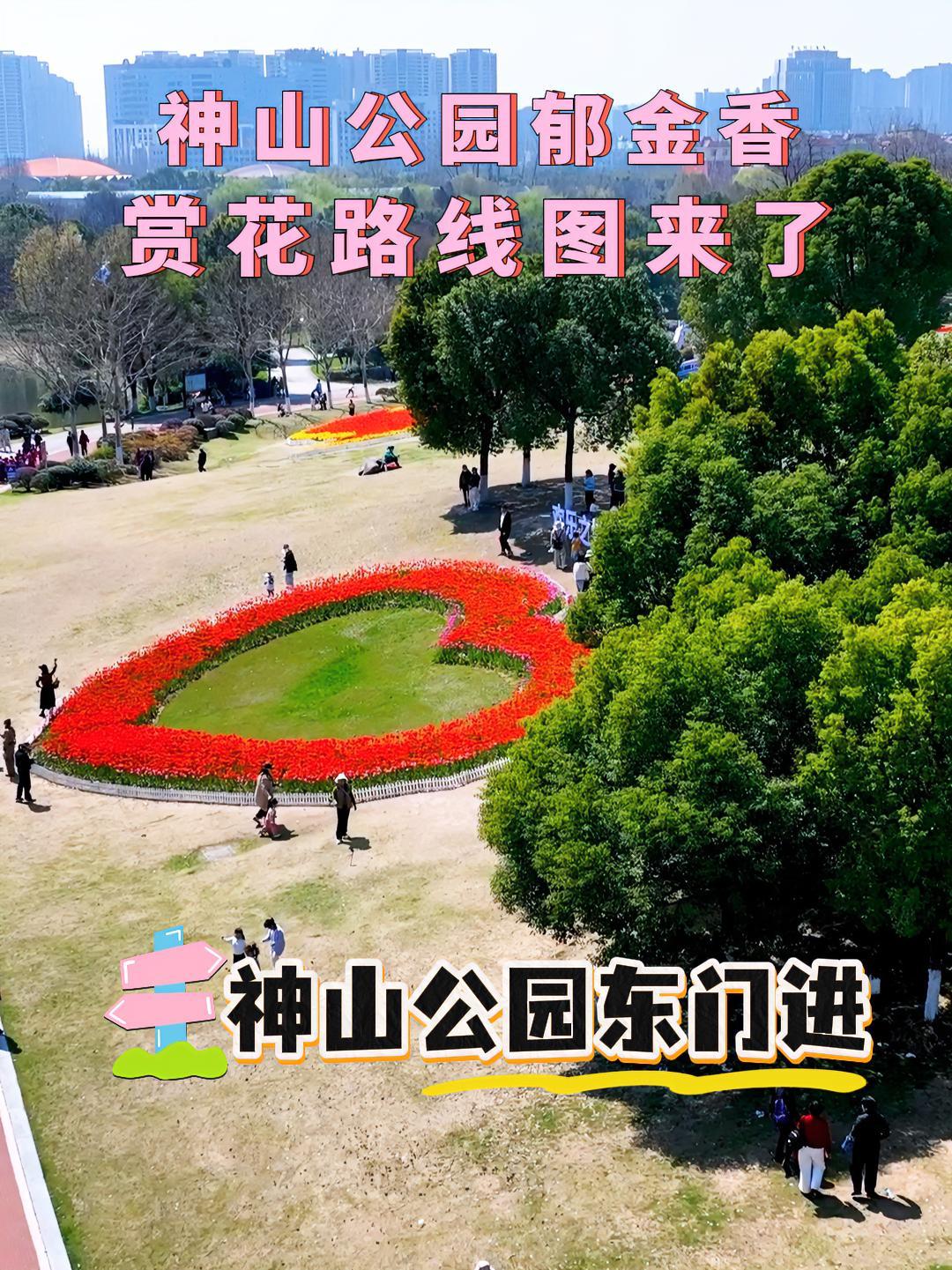 神山公园郁金香赏花路线图来了 阳光大草坪、莲心舞台、芙蓉湖……芜湖神山公园郁金香怎么赏?码