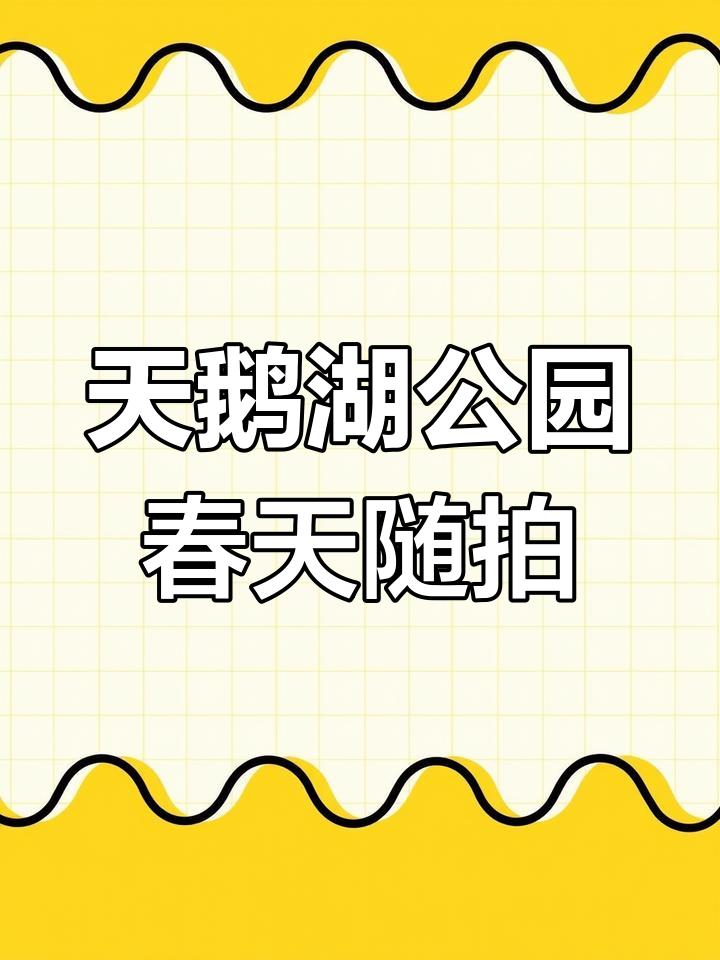 合肥天鹅湖公园春日美景,大雁归来唱响朝阳
