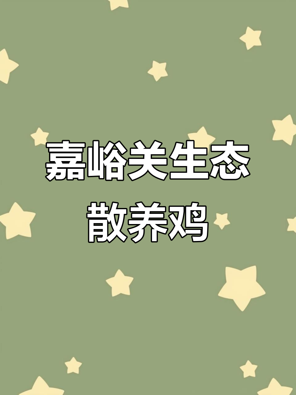 嘉峪关的散养鸡,活鸡现杀的美味秘密