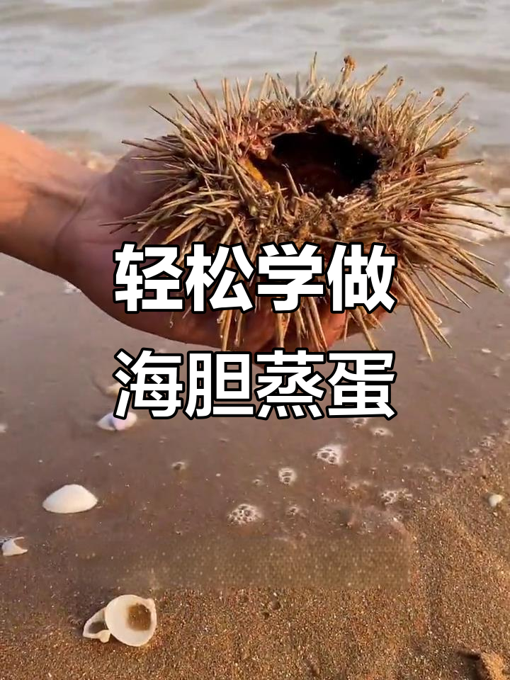 海胆蒸蛋，简单又美味！教你做海刺猬的独特做法