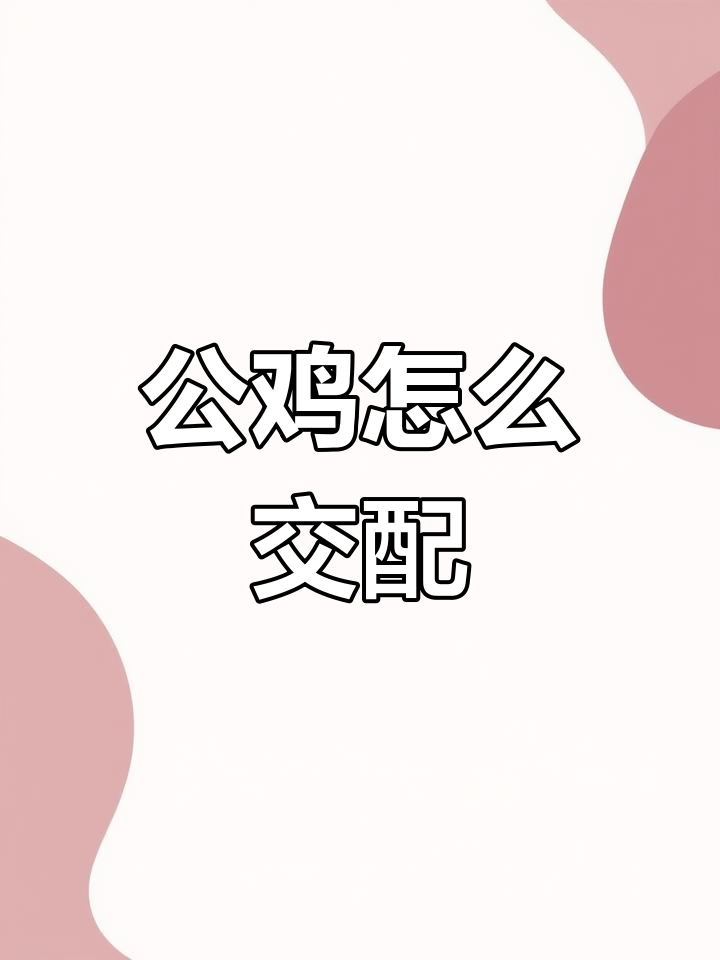 公鸡没有丁丁,如何交配?揭秘公母鸡的“蟹殖腔之吻”