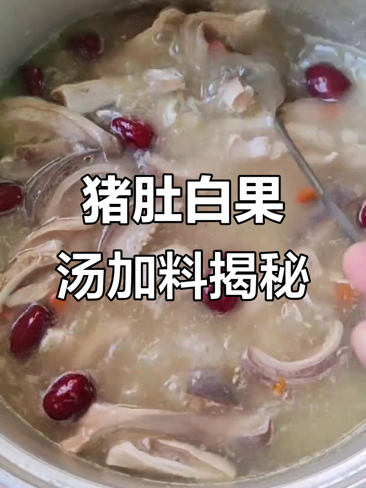 白果猪肚汤里都加了什么料?功效竟然这么强!