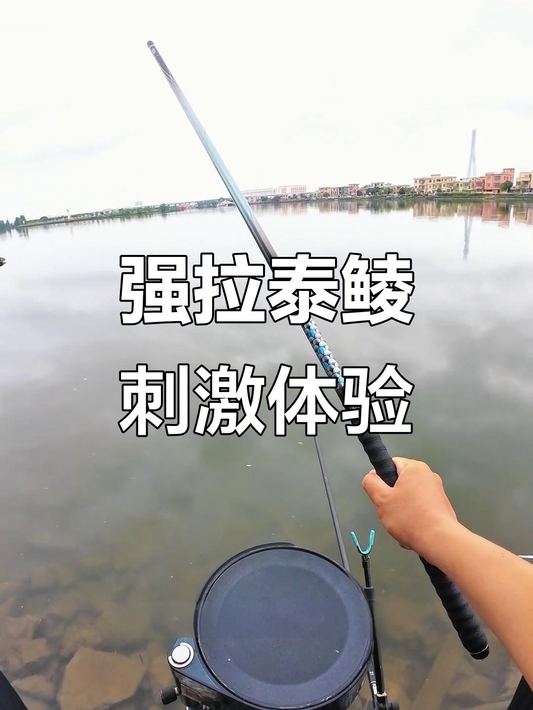 泰鲮暴护,五点零线材硬刚挑战